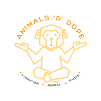 Animals R Dope